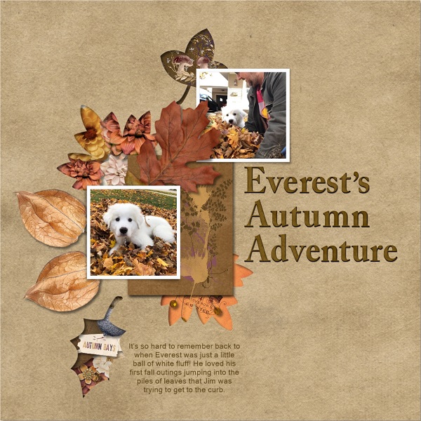 Everest's Autumn Adventures