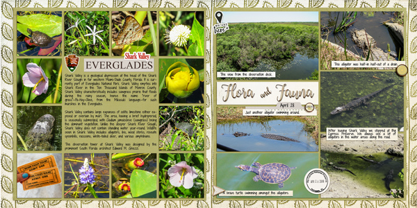 Everglades2
