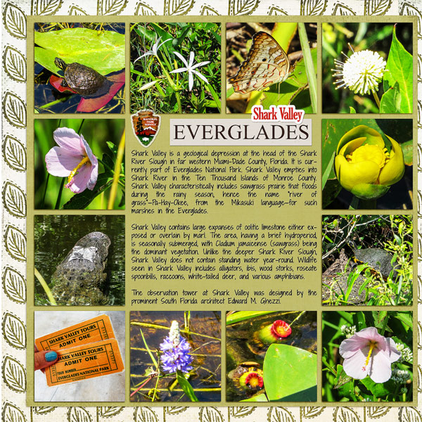 Everglades2_left