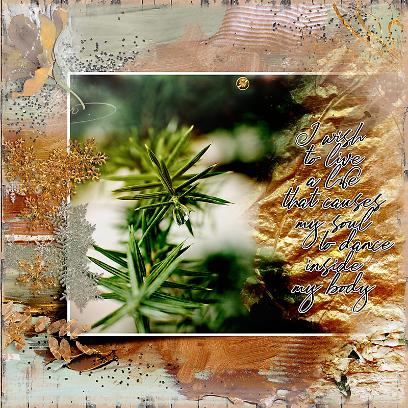 Evergreens