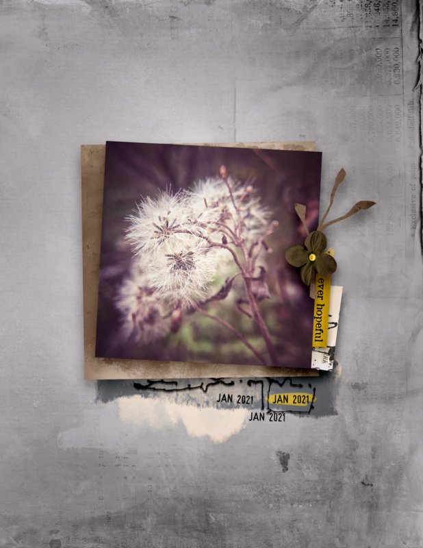 EverHopeful