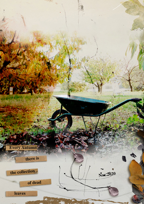 Every Autumn