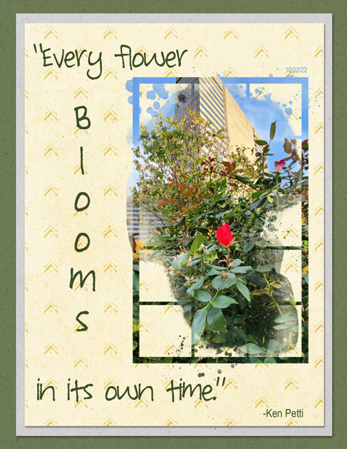 Every-Flower