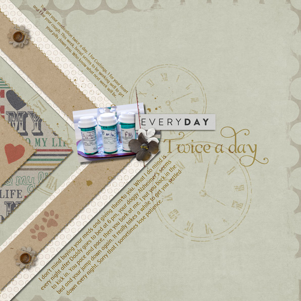 EVERYDAY - TWICE A DAY