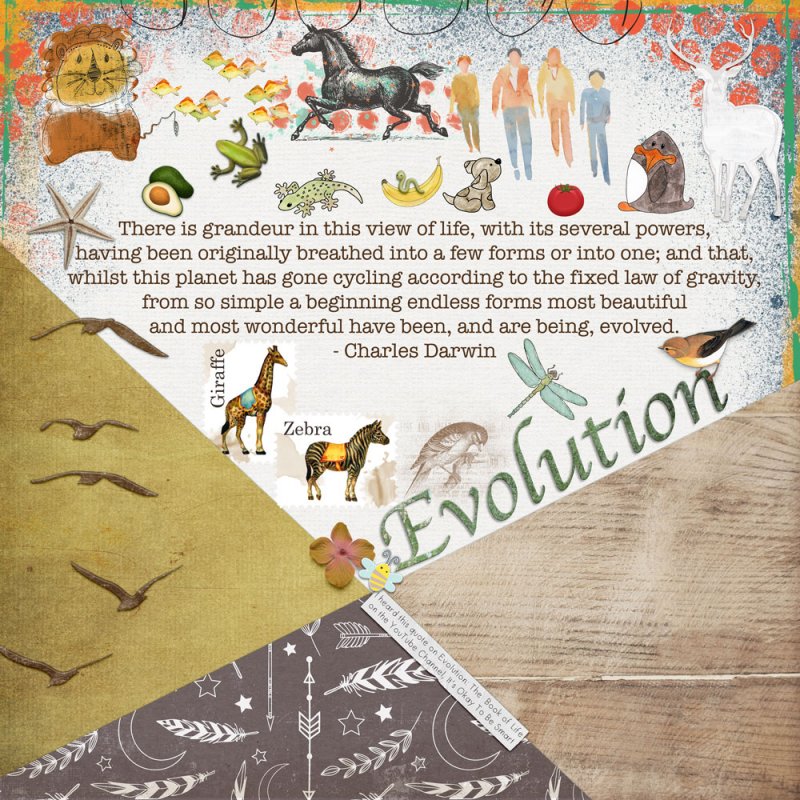 Evolution