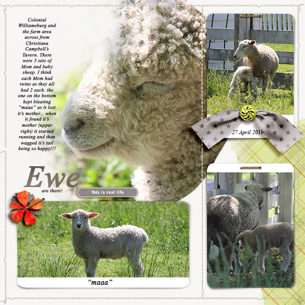 Ewe are There