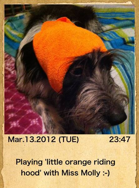 Example photo of the photo app Shot MeMo for iPhone and iPod.