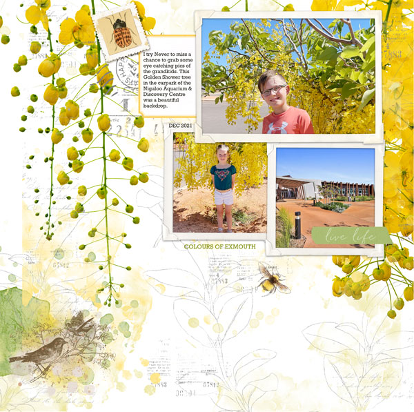 EXMOUTH-1-LP
