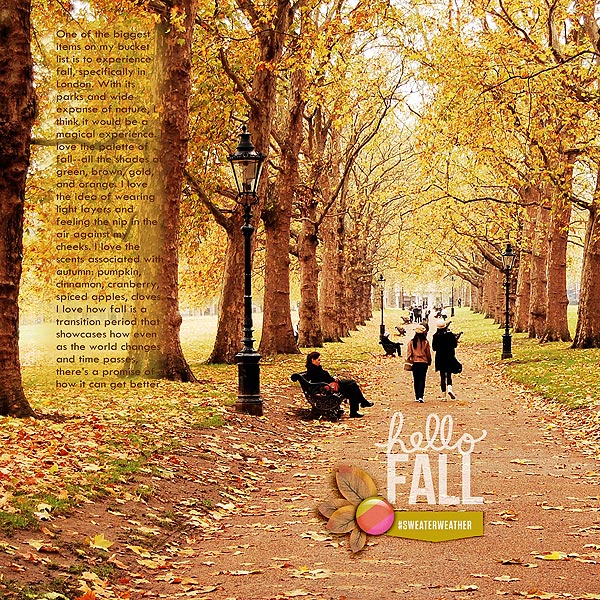 experience fall