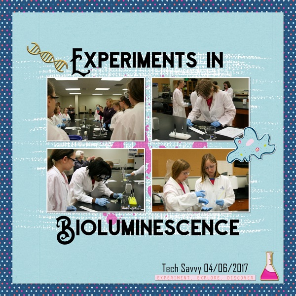 Experiments In Bioluminescence