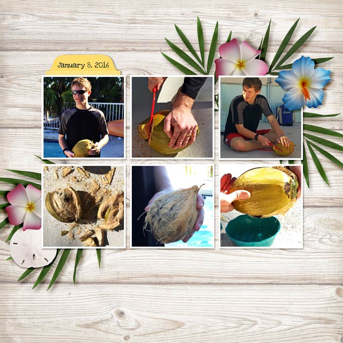 Explore Coconuts MOC day 29