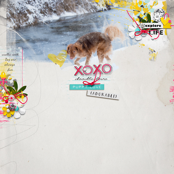 Explore Life