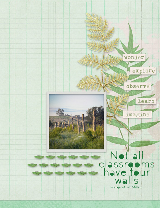 Explore Observe Learn
