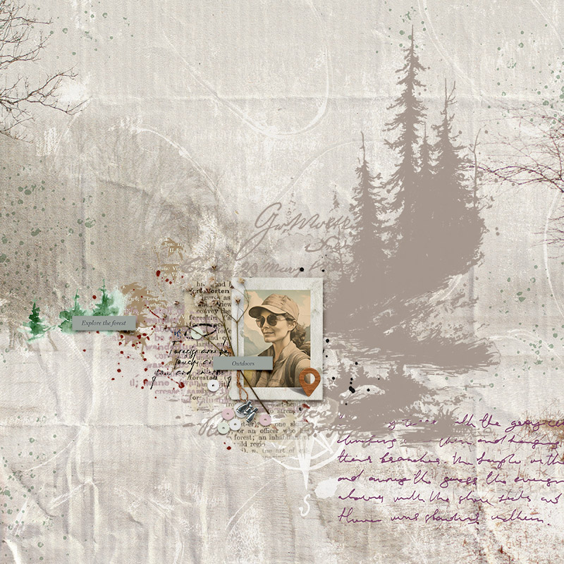 explore the forest