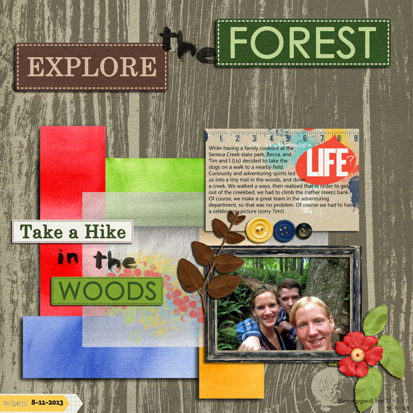Explore the woods