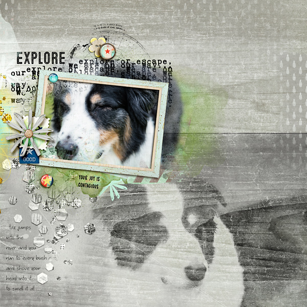 Explore