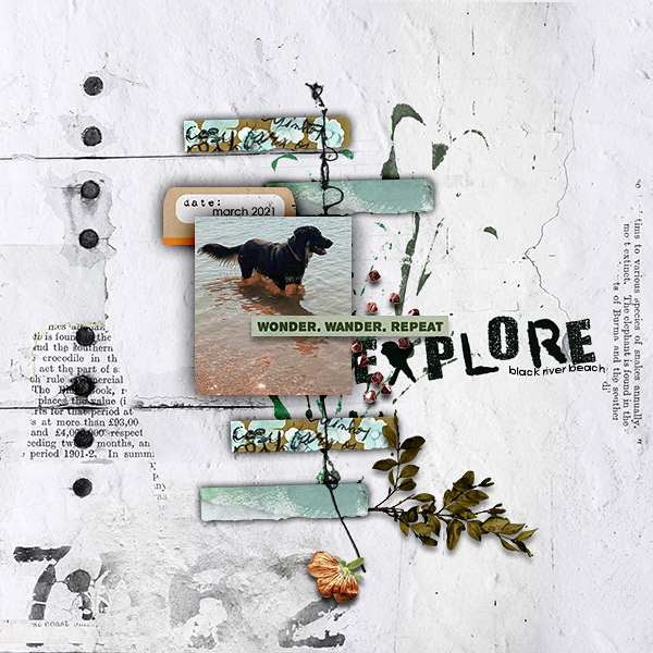 Explore
