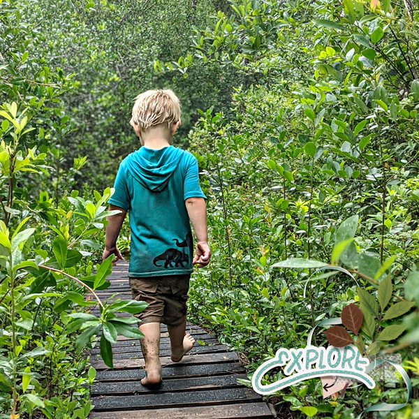 Explore