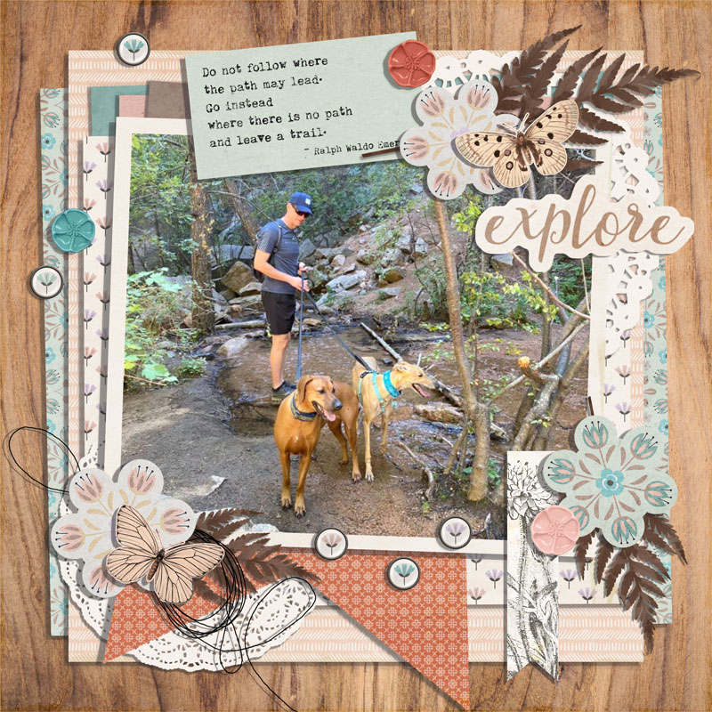 explore