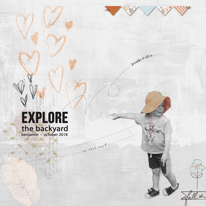 ExploreTheBackyard112018IC
