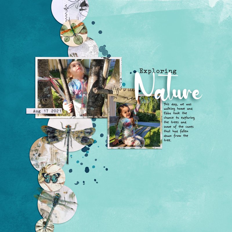 Exploring nature