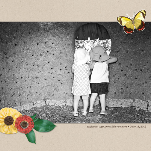 exploring together