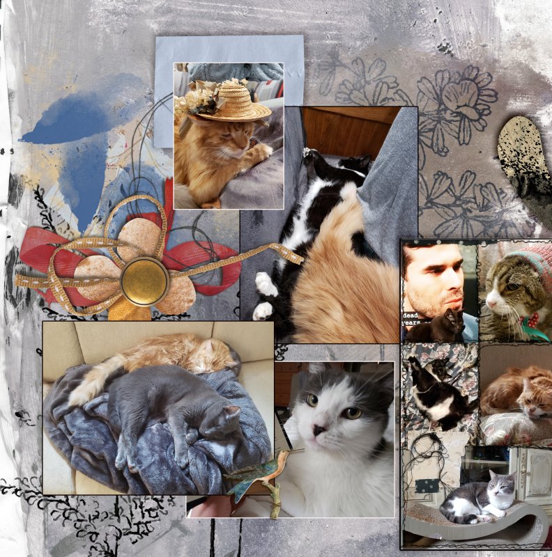 Extra Large Cat Edition There Were Seven Now There Are 3 2022 Left Side