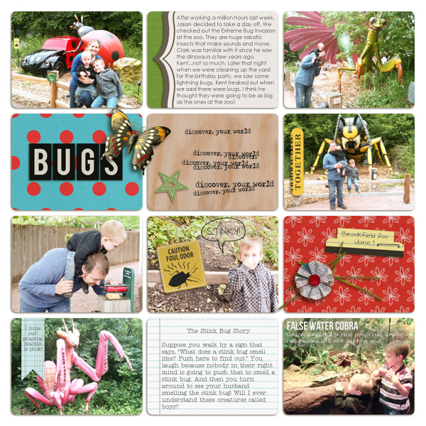 Extreme Bugs