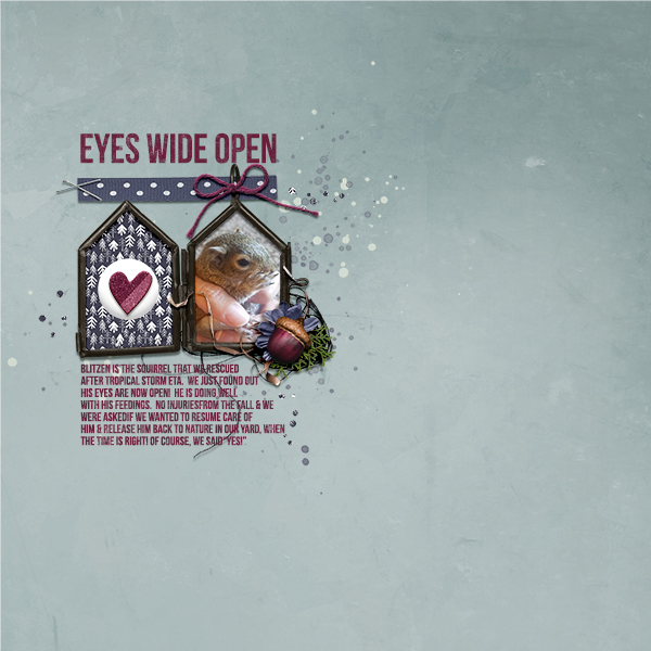 Eyes Wide Open