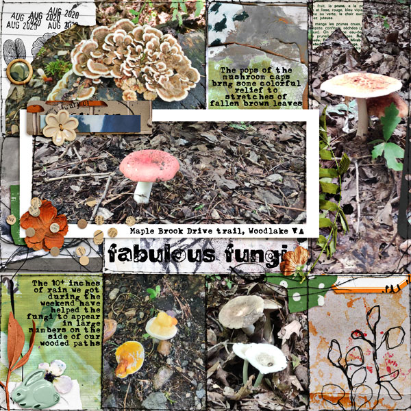 Fabulous Fungi Pg 1