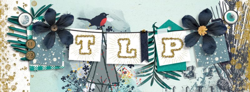 Facebook Cover November 10 New Releases