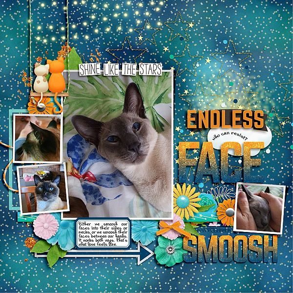 FaceSmoosh