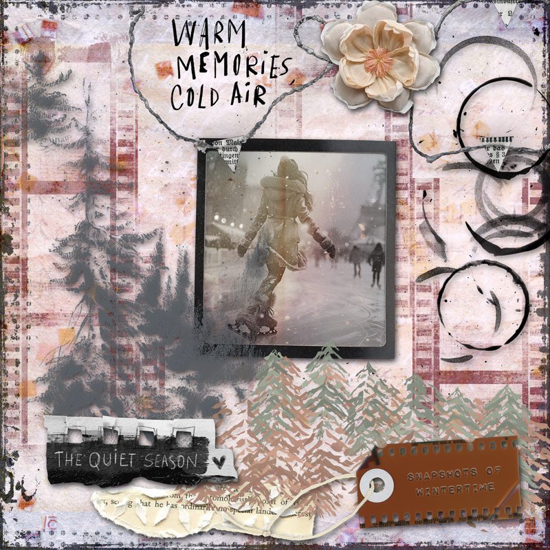 Faded Polaroids II (Wintered)