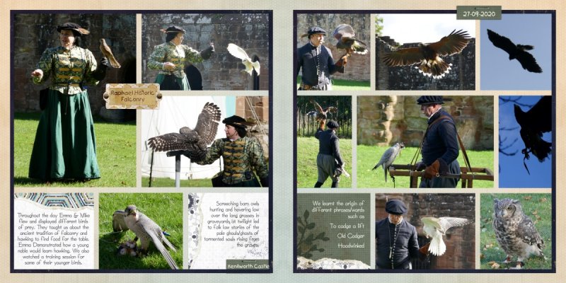 Falconry Day (2 pager)