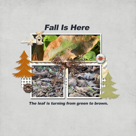 Fall 8x8 72.jpg