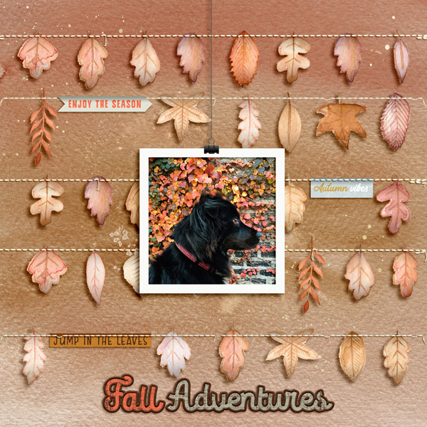 fall adventured
