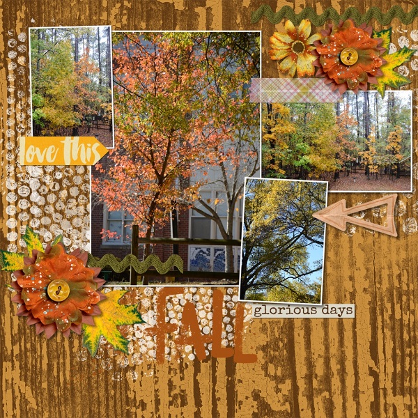 Fall Beauty