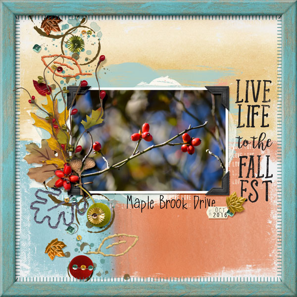 Fall Berries