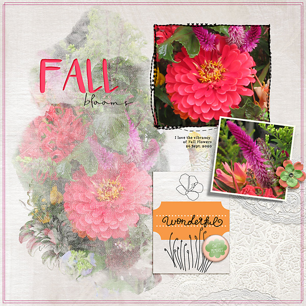 Fall blooms