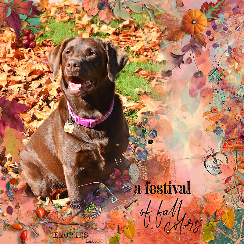 Fall Camouflage