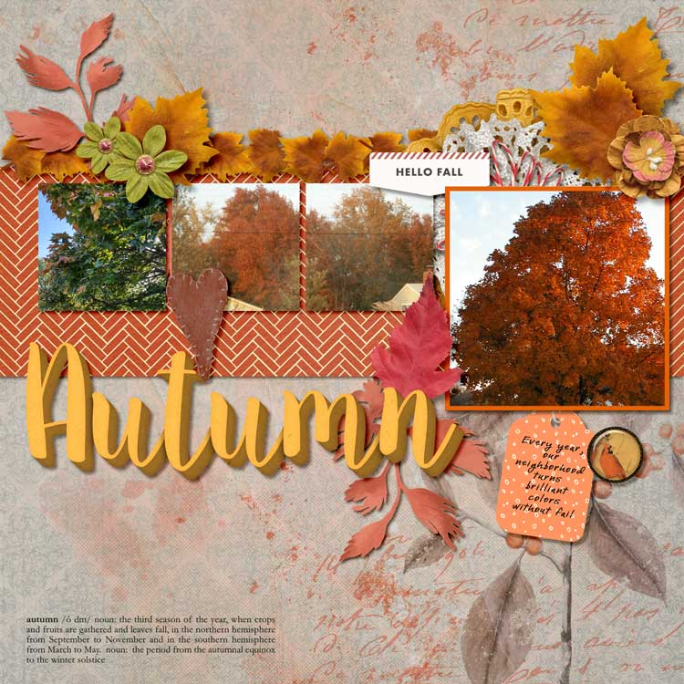 fall-color.jpg