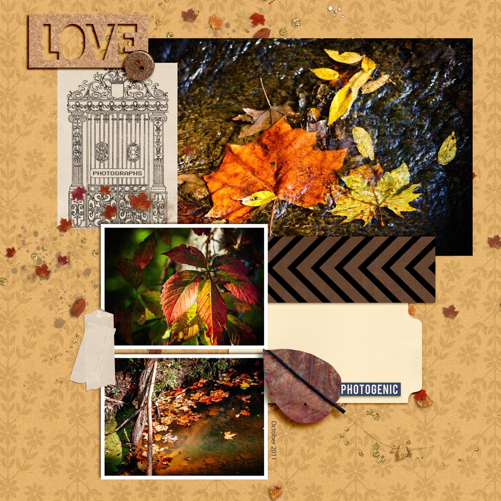 Fall Color