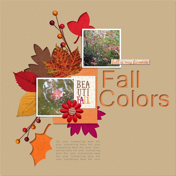 Fall Colors