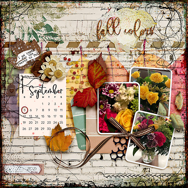Fall Colors