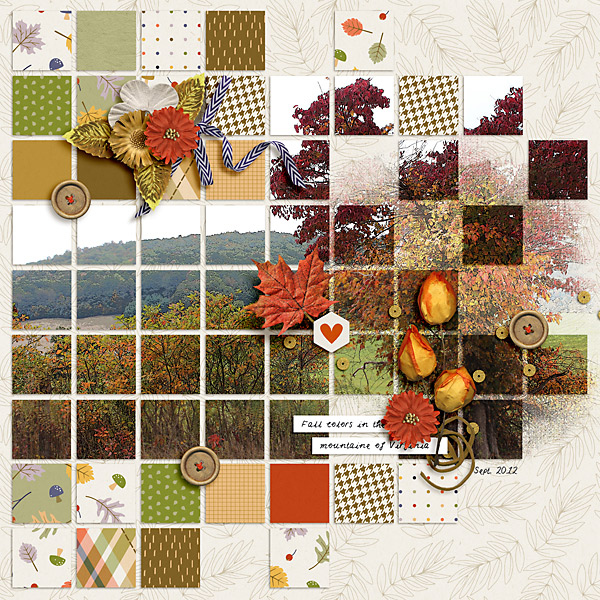 Fall colors