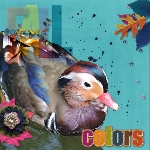 Fall Colours Duck