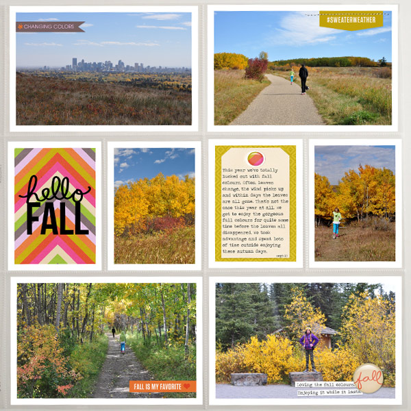 Fall Colours
