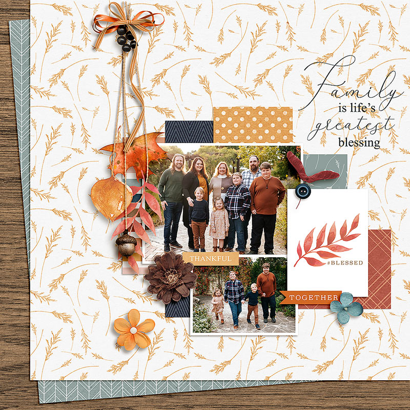 Fall Family Photos