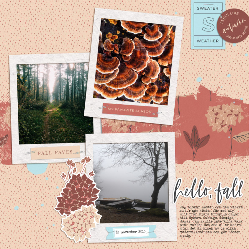 Fall favorites