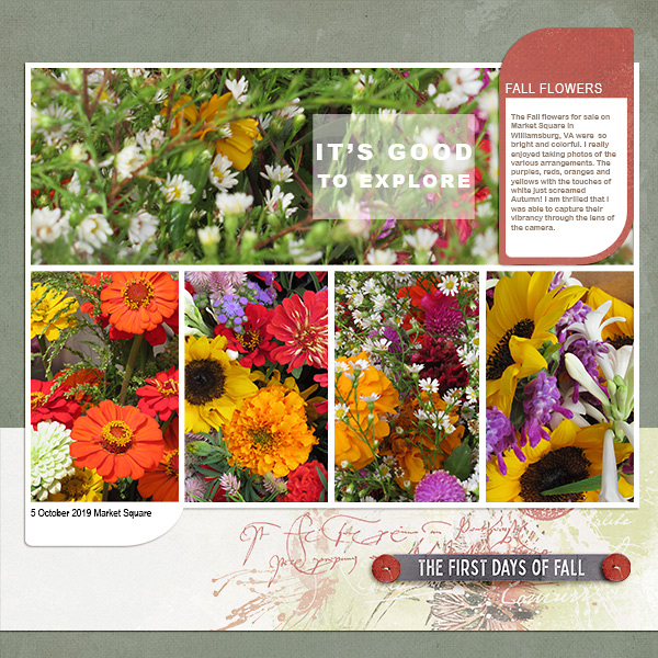 Fall Flowers